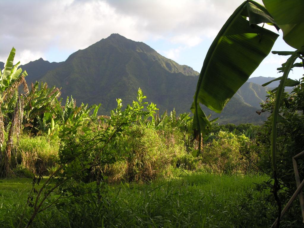 Tutu'S Cottage Hanalei Exteriör bild